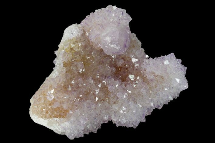 Cactus Quartz (Amethyst) Crystal Cluster - South Africa #137769